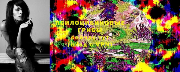 2c-b Бронницы