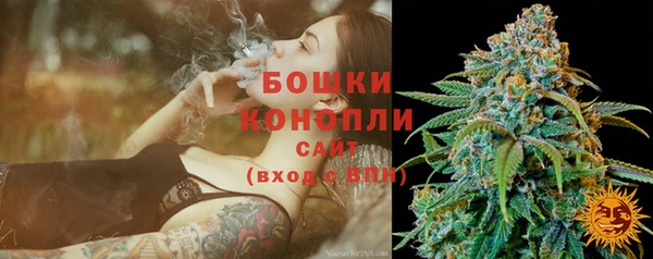 дурь Богданович
